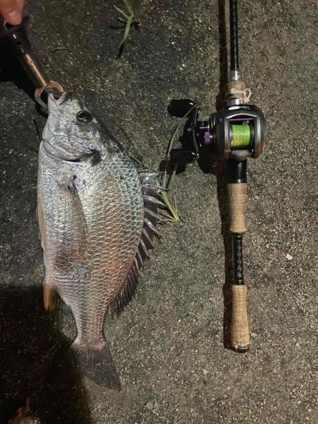 アーバンチニング④