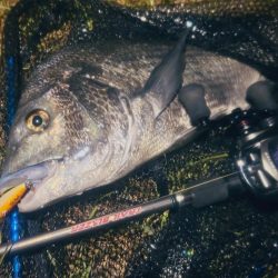 月を見ながらお散歩チニング