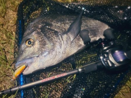 月を見ながらお散歩チニング