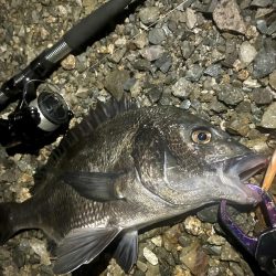 地蔵盆の港湾チヌ釣り