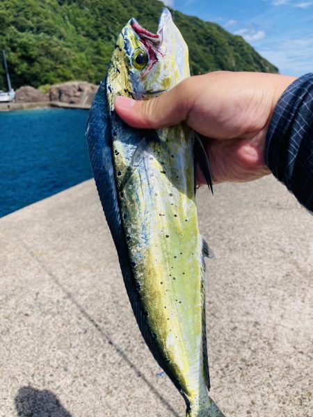 釣れてる人に倣え