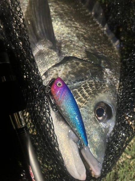 トップとテクトロで