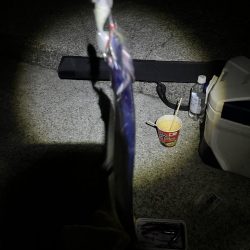 銀色のアイツら