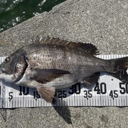 イチノ兄弟、釣果！