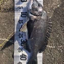 イチノ兄弟、釣果!