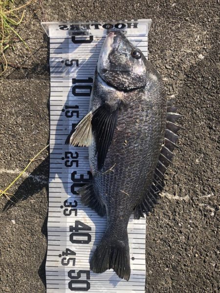 イチノ兄弟、釣果！