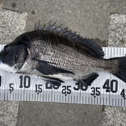 イチノ兄弟、釣果!