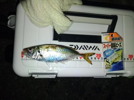 フロートゲーム～