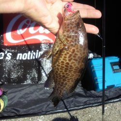 色々釣れました