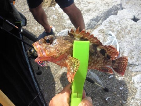 あまり釣れませんでした