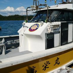 激渋イカメタル