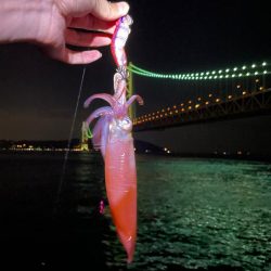 なんとか良型釣れました