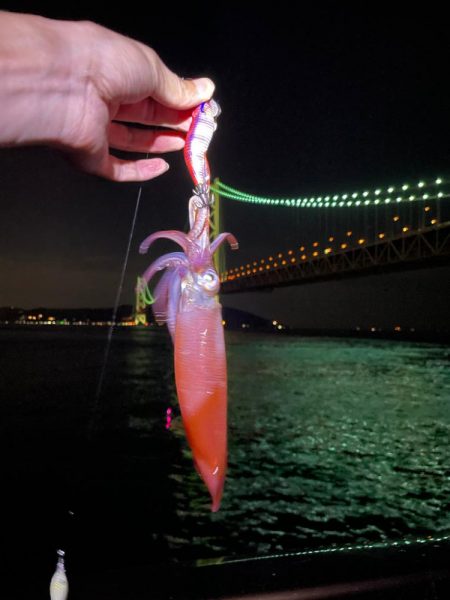 なんとか良型釣れました