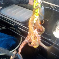 タコ延長戦〜パイレーツダイユウ丸〜