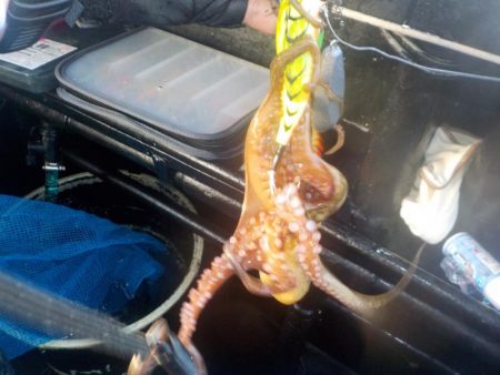 タコ延長戦〜パイレーツダイユウ丸〜