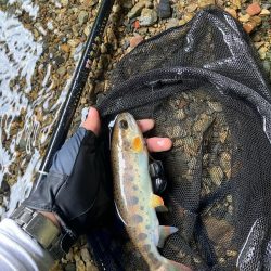 盆明けの避暑と竿新調