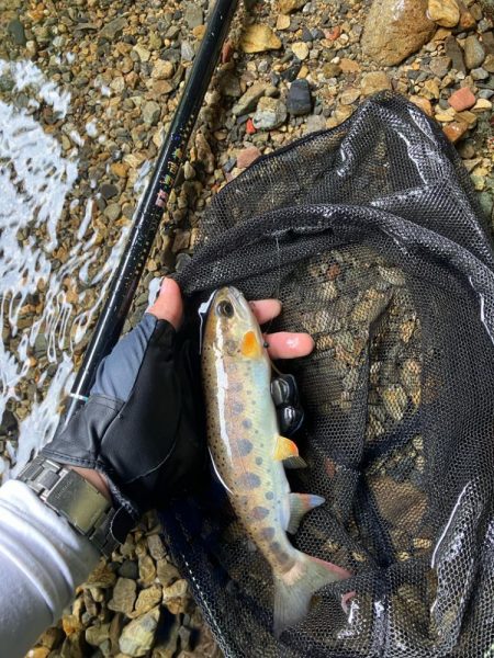 盆明けの避暑と竿新調