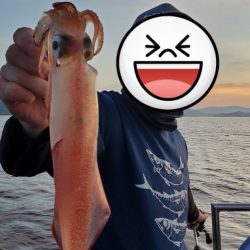 ぼちぼちイカメタル