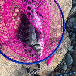 チニング歴2年目で