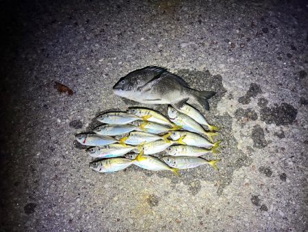 南大阪フロートゲーム