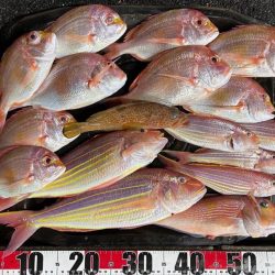 真夏のアマダイ釣行!