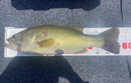 1日ボート釣行！