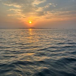 タチウオテンヤ