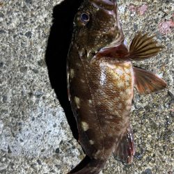 ジグヘッドウエイト調整