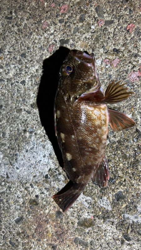 ジグヘッドウエイト調整