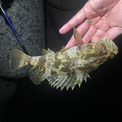 難しい、、、、