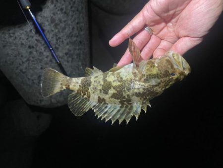 難しい、、、、