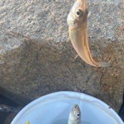 ドハマり中‼️