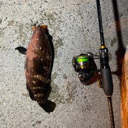 リベンジ達成！？