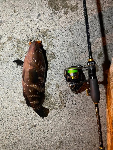 リベンジ達成！？