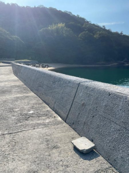 やはりまだちっちゃかった………