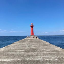 シロギス釣り！