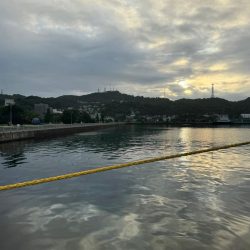 やっぱり釣り大好き！