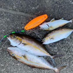 ローデッド大活躍