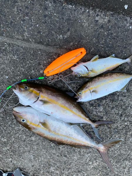 ローデッド大活躍