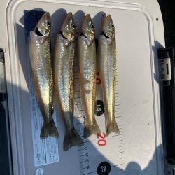 ファミリーフィッシング