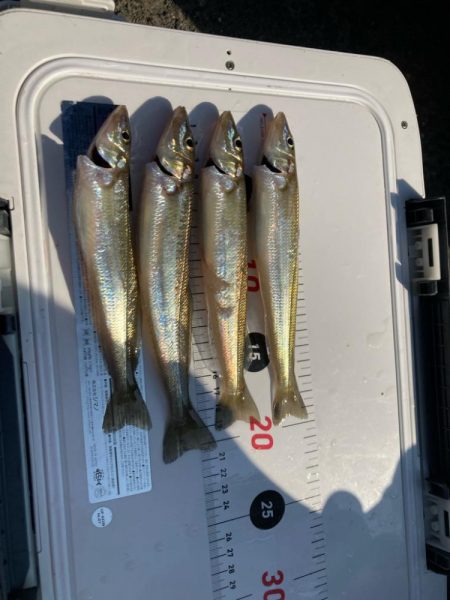 ファミリーフィッシング