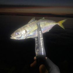 フロートアジング