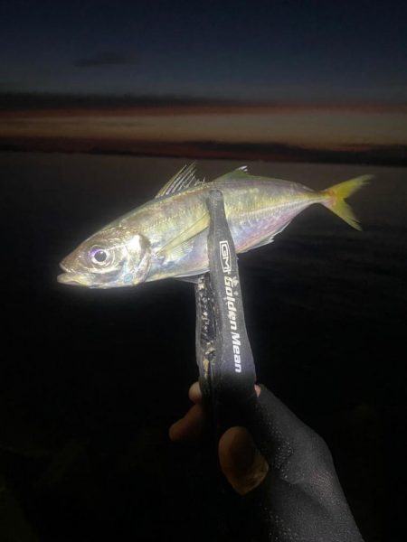 フロートアジング