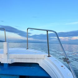 タチウオジギング