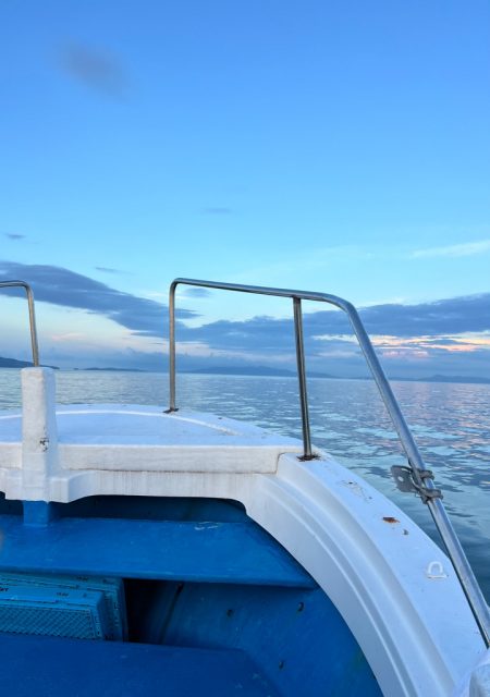 タチウオジギング