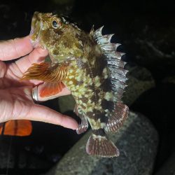 巨大湖の主。双魚竜