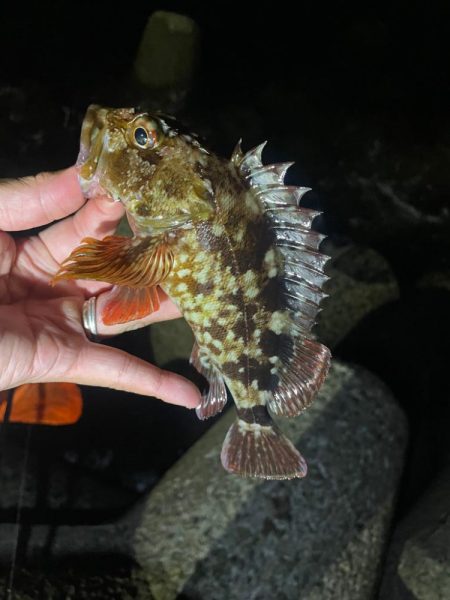 巨大湖の主。双魚竜