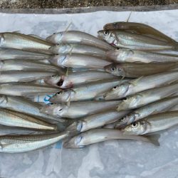 またまた、行ってしまいました。💦