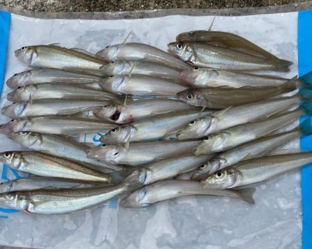 またまた、行ってしまいました。Ǵ…