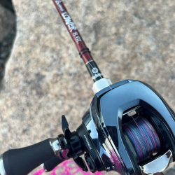 トップルアーで、つ抜けチニング！！